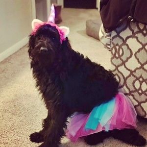 Meet your Posher, Marypeyton